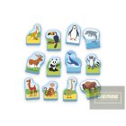 Az én  Első Földgömböm - magyarul beszélő -készségfejlesztő játék