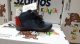 Szamos Kölyök első lépés cipő 1390-20036