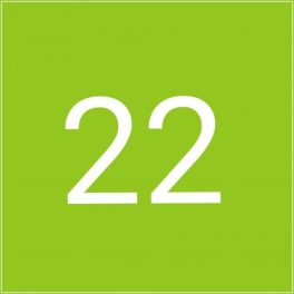 22 es méret